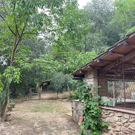 Fiorire Casale Olistico Casa vacanze *