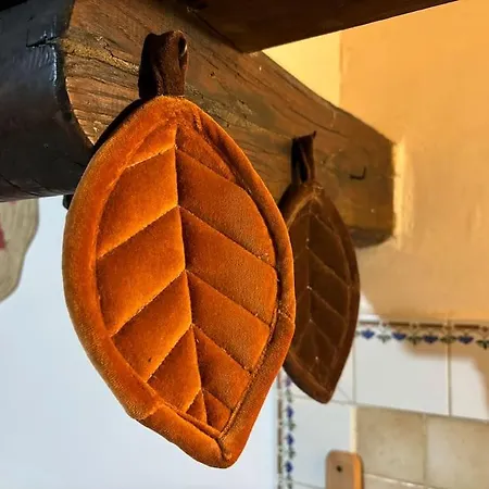 Fiorire Casale Olistico Casa vacanze Attigliano