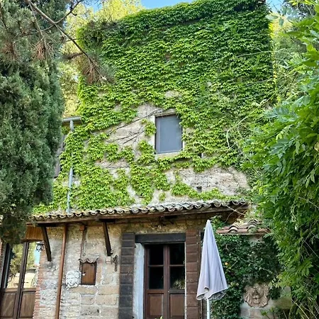 Fiorire Casale Olistico Casa vacanze Attigliano